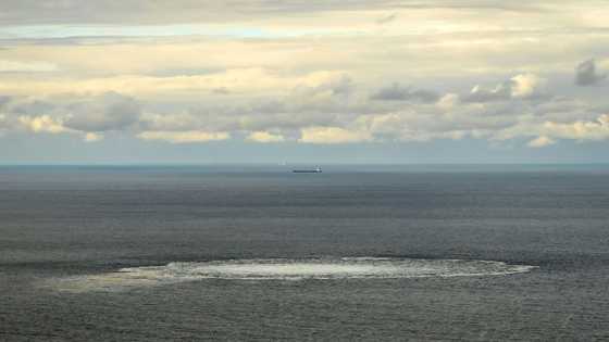 Sweden conducts new Nord Stream crime scene inspection