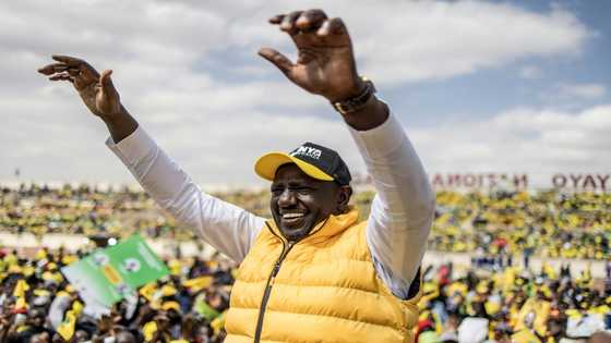 William Ruto: Kenya's 'hustler-in-chief' president