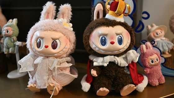 Monsters and memes: Labubu dolls ride China soft-power wave