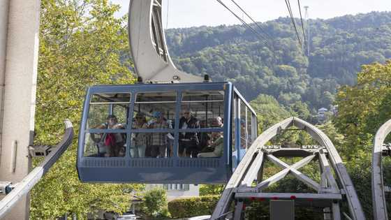 As planet gets warmer, ski gondola maker goes urban