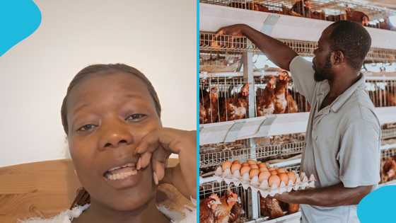 Ghanaian lady in Germany recounts how her family collapsed her business in Ghana