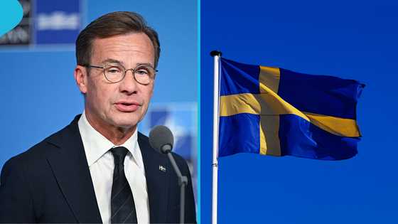 Sweden changes citizenship rules, introduces 4 requirements for foreign applicants