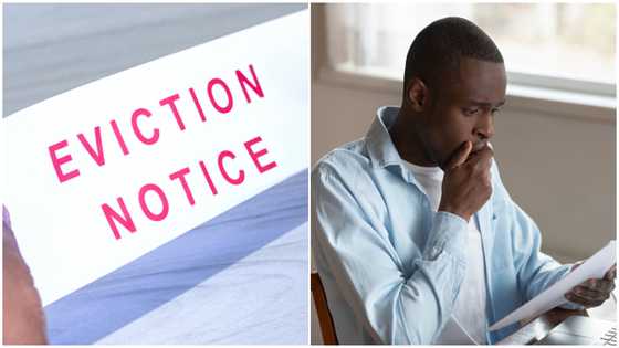 Some Tenants Be Stubborn: Landlords Have the upperhand When Seeking Solutions
