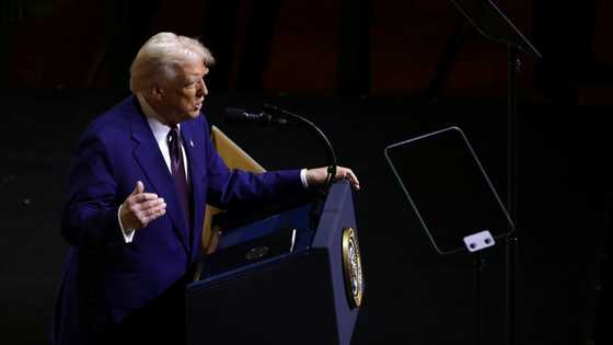 Tech, auto, medicines: who will pay Donald Trump's tariffs?