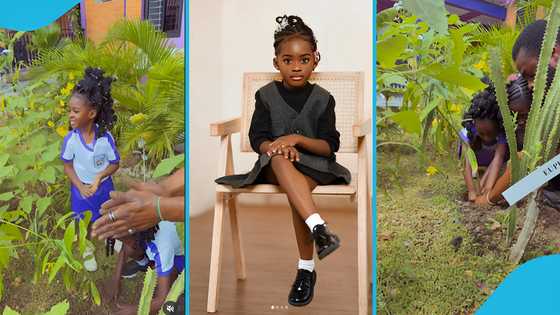 Medikal and Fella's daughter Island plants trees in Yvonne Nelson's school, adorable video melts hearts