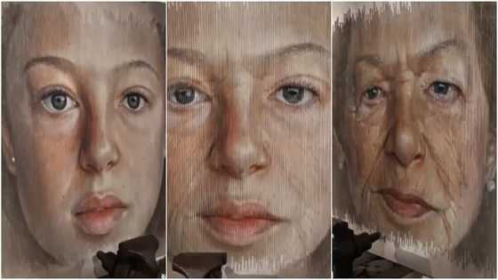 Artist makes artwork that changes from a beautiful girl to an old woman