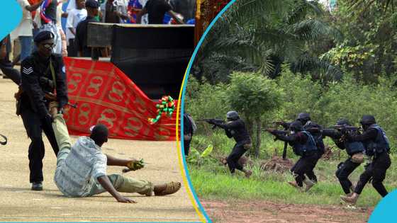 Police intercept over 80 persons allegedly recruited for election security in Western North