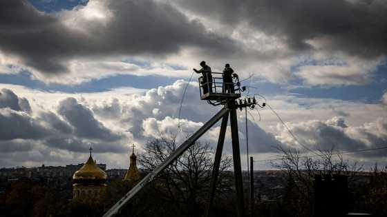 From pigs to TVs: Ukrainians despair at looting as Russia retreats
