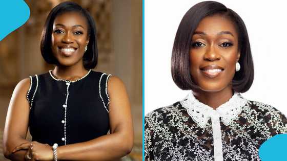 Ex-SIC MD’s GH₵840k annual salary and other juicy benefits: “I’ll choose to be CEO than a minister”