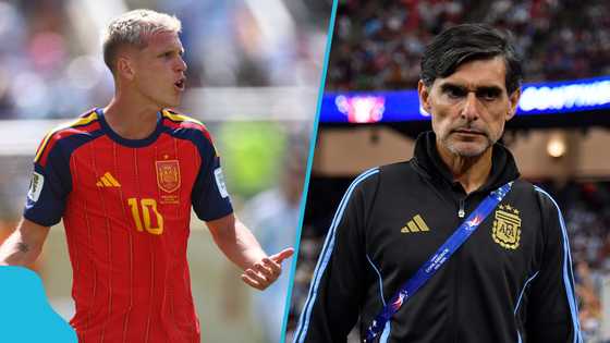 Argentina's assistant coach explains why he 'punched' Dani Olmo after World Cup final