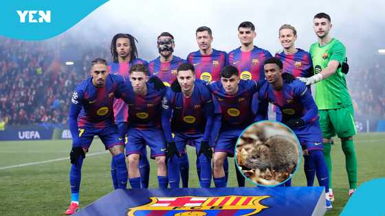 Barcelona embarrassed as rats appear at Camp Nou ahead of important UCL game