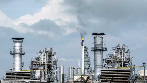 Asia gas expansion threatens green transition: report