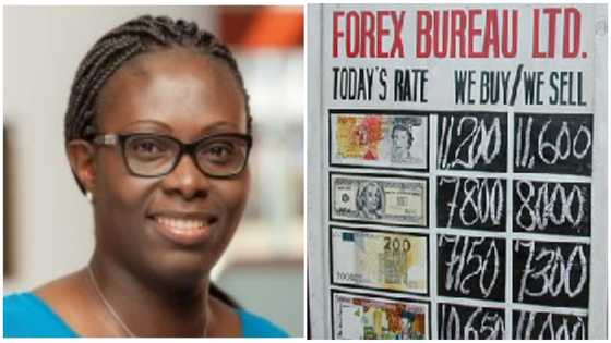 Economist gives thumbs up to move to inject $2bn to improve cedi’s performance