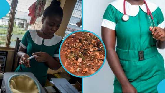 Ghanaian woman slams nurses for poor sanitation in their apartment amid protests