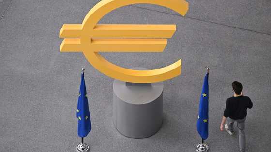 ECB set to hold rates steady with eye on France crisis