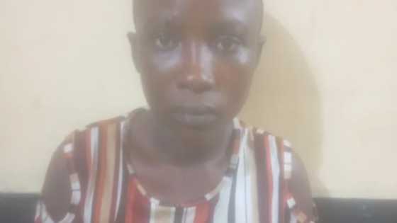 Power of a woman - Ghanaians say as story of police officer freeing a suspect after having an affair with her goes viral