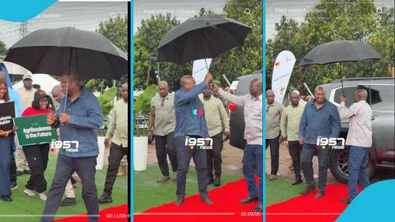 President Mahama demonstrates humility as he takes his umbrella from his security guard in a video