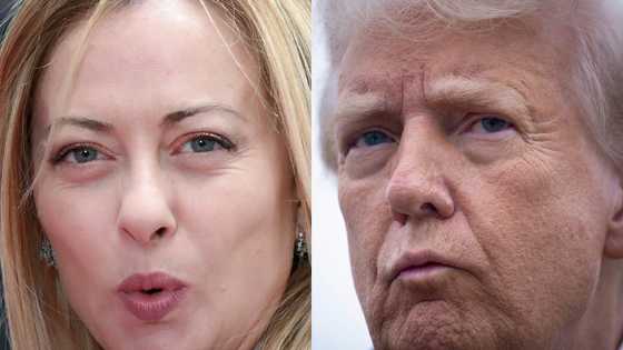 Italy's Meloni seeks EU tariff deal from Trump