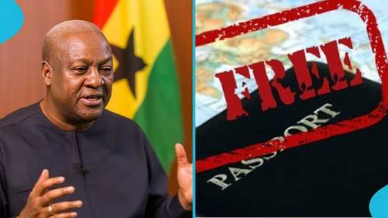 Mahama's call for free-visa movement in Africa: What it could mean for Ghanaians