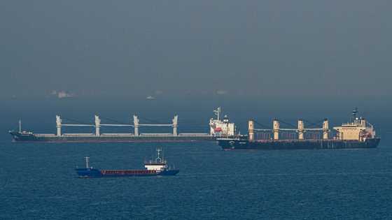 Russia upends global grain trade