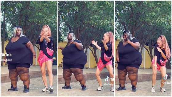 Asakaa Boys: Plus Sized Woman And Obroni Lady Join Obaahemaa Challenge; Video Causes Stir