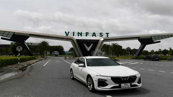 Vietnam's VinFast targets USA electric car markets