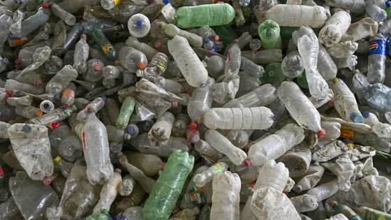 Plastic pollution treaty talks in disarray