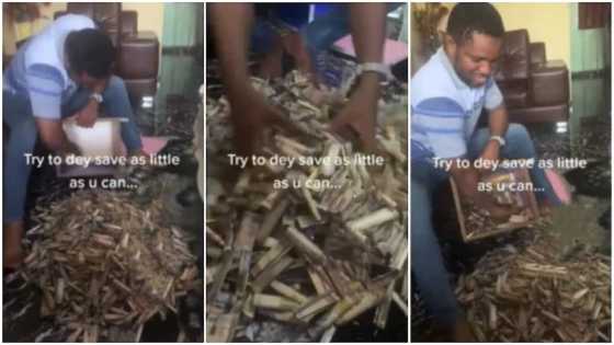 Na who get money dey save: Reactions as man breaks his piggy bank after 1 year; shows heap of cash
