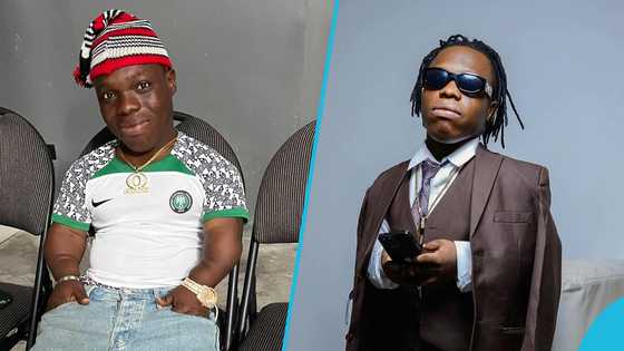 Shatta Bandle rocks boxers only, displays fire dance moves by the poolside to a French song, video
