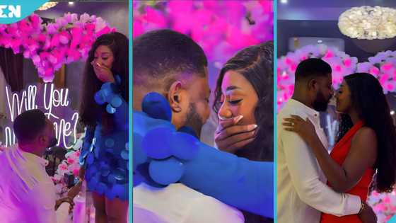 Regina Van Helvert gets emotional as Dr Chris proposes in lovely video ahead of wedding