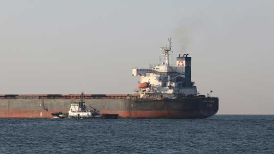 More Ukraine grain sets sail as new shelling hits nuclear plant