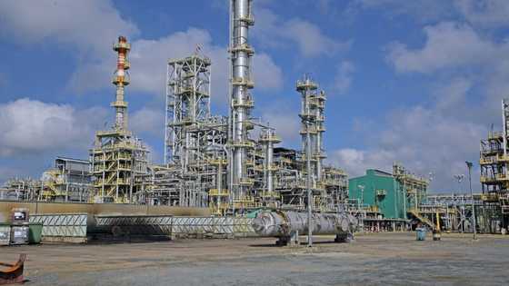 Suriname poised for cash inflow from newly discovered oil