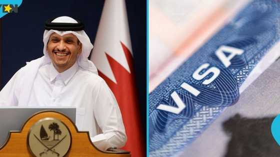 Qatar names 47 countries eligible for free 30-day tourist visa