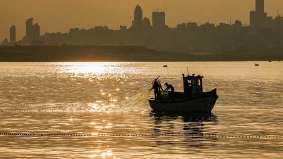 WTO fishing deal: the net results