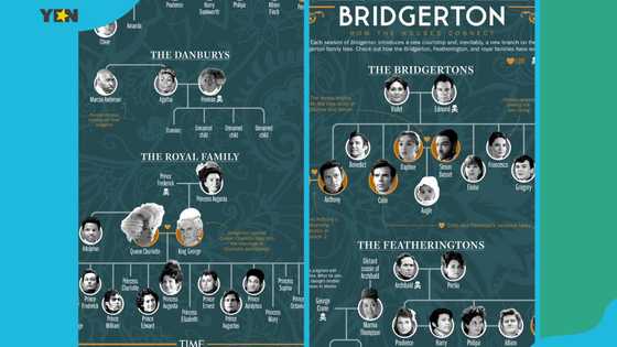 Explore the Bridgerton family tree: All the Bridgerton characters and their families