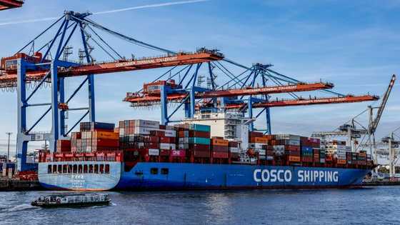 Germany says controversial Chinese stake in Hamburg port to go ahead