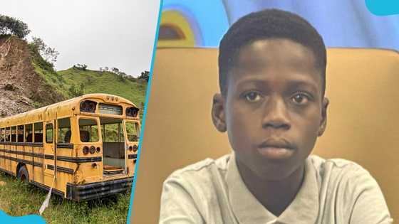 Young boy hero: 13-year-old narrates how he stopped a moving school bus after driver collapsed