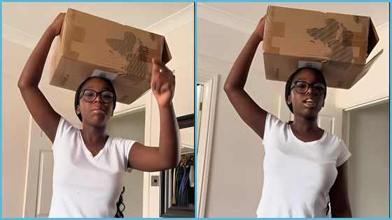 Diana Hamilton's daughter sparks laughter as she depicts street vendors: "Her Twi is something else"