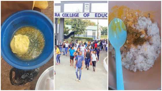 School feeding: Colleges of Education write to government over their inability to feed students at GH₵6.50 a day