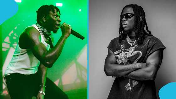 Stonebwoy hails his penmanship, sends message to those who doubt him: "It's a Matter of IQ"