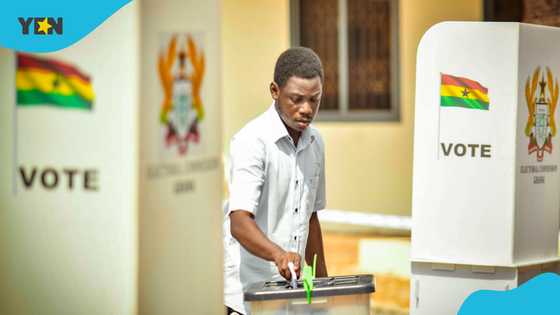 Live updates on NPP presidential primaries: Voting ends, results start trickling in