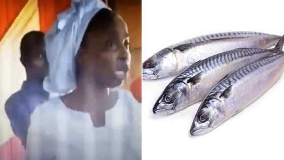 If you eat ‘Titus fish’, take Vitamin C, you won’t make heaven - Female pastor preaches