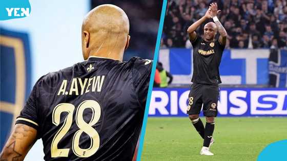 Dede almost in tears as Le Havre fans honour him with standing ovation (video)