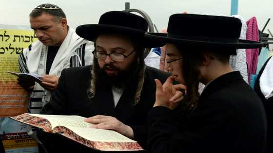 Defying warnings, Jews embark on Ukraine pilgrimage