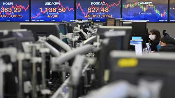 Asian markets rally after Wall Street highs