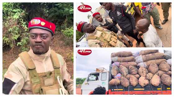 Truck transporting onions nearly crashes Lil Win's GH¢1.2M 2024 RAM 1500 TRX, driver begs for mercy in video