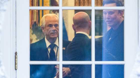 Musk brands Trump aide 'dumber than a sack of bricks' in tariff spat