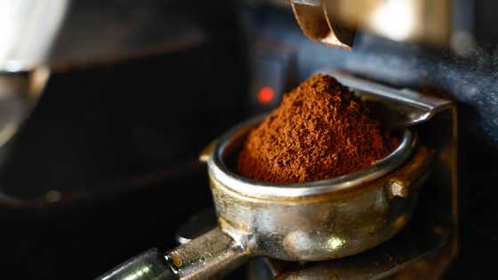 Where Trump's tariffs could hurt Americans' wallets