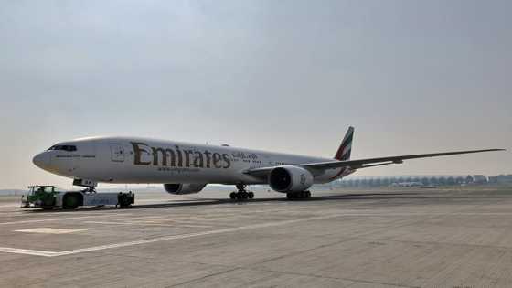 Dubai airport sees surge in arrivals bolstered by Russian influx