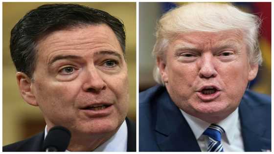 Watchdog to probe intensive audits of Trump foes who led FBI